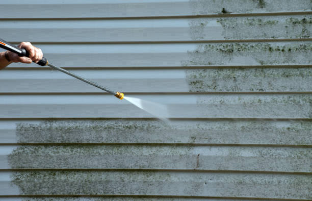 Best Mold Damage Repair  in Jefferson, GA
