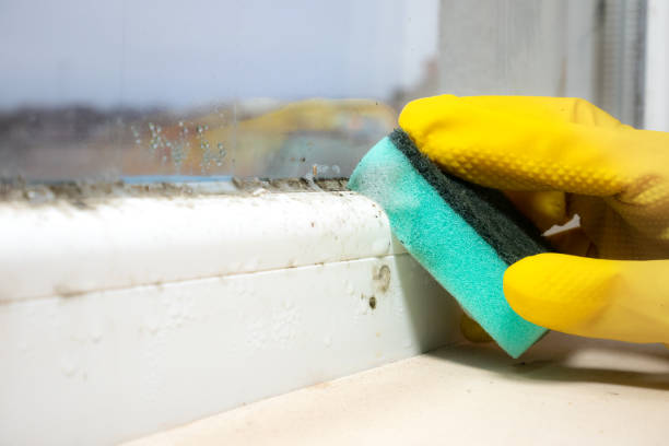 Best Mold Testing  in Jefferson, GA